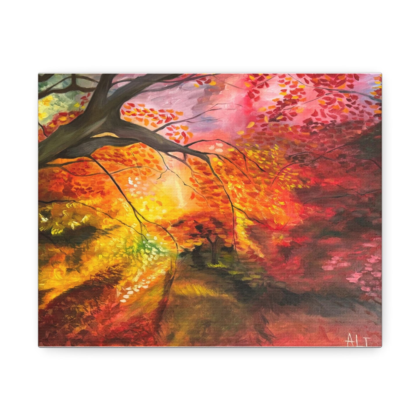 'Where the Light Falls' Stretched Canvas
