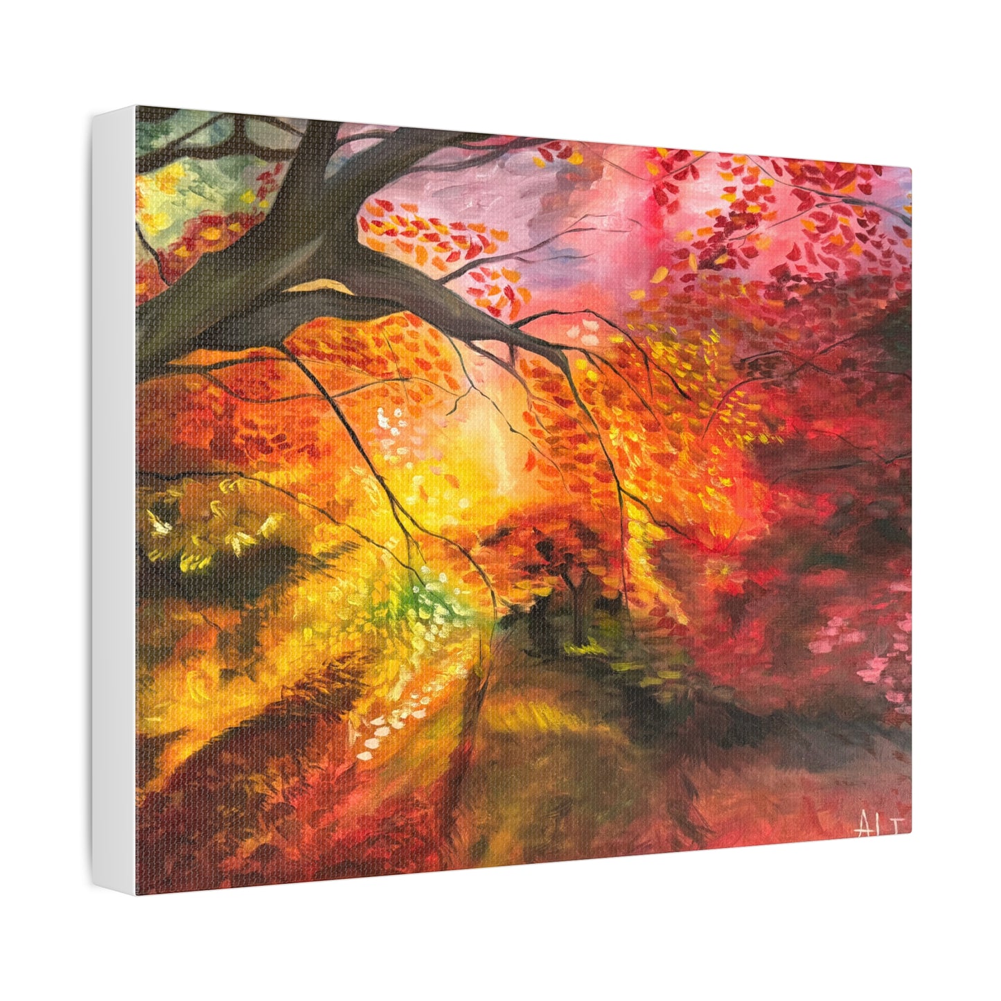 Where the Light Falls | Premium Stretched Canvas