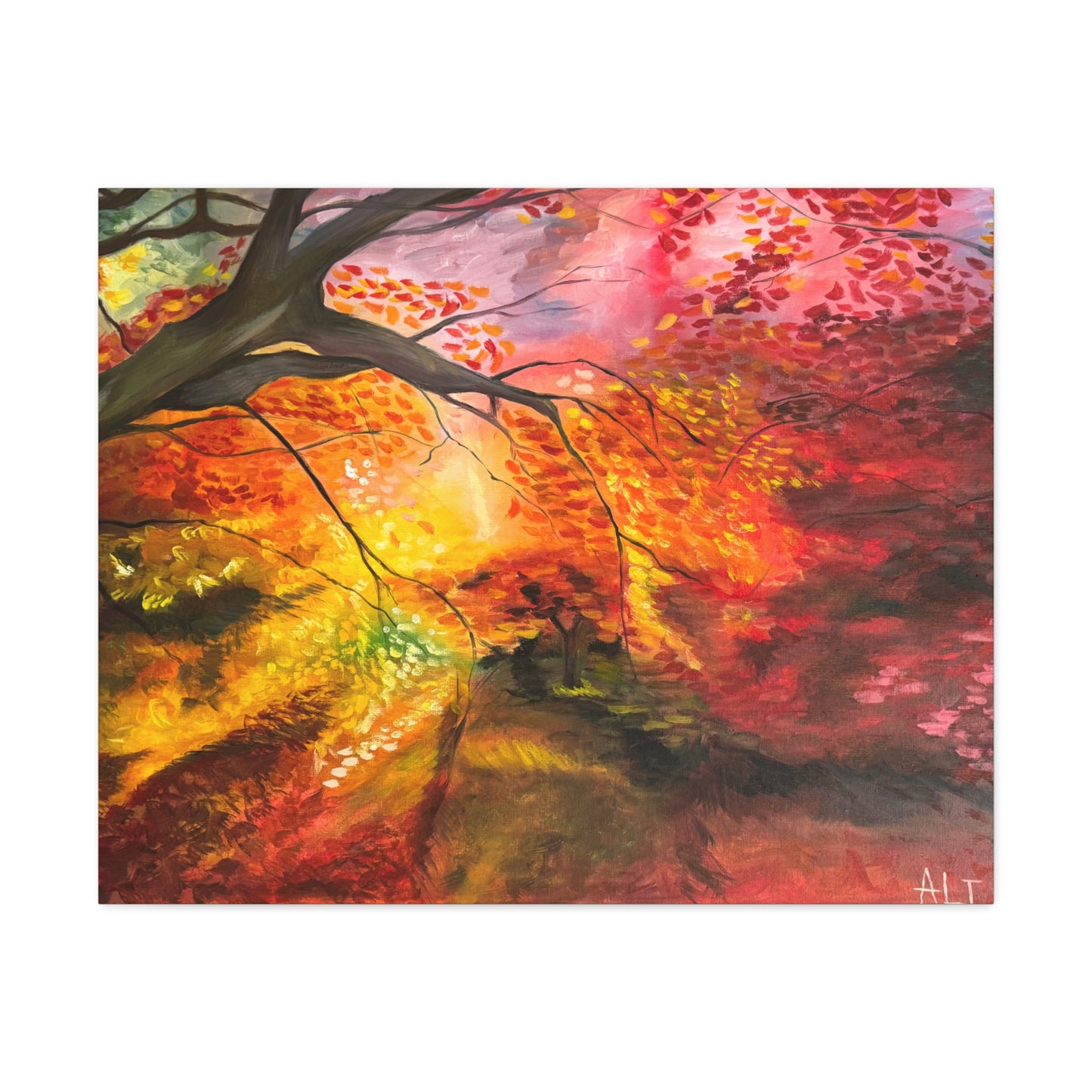 Where the Light Falls | Premium Stretched Canvas