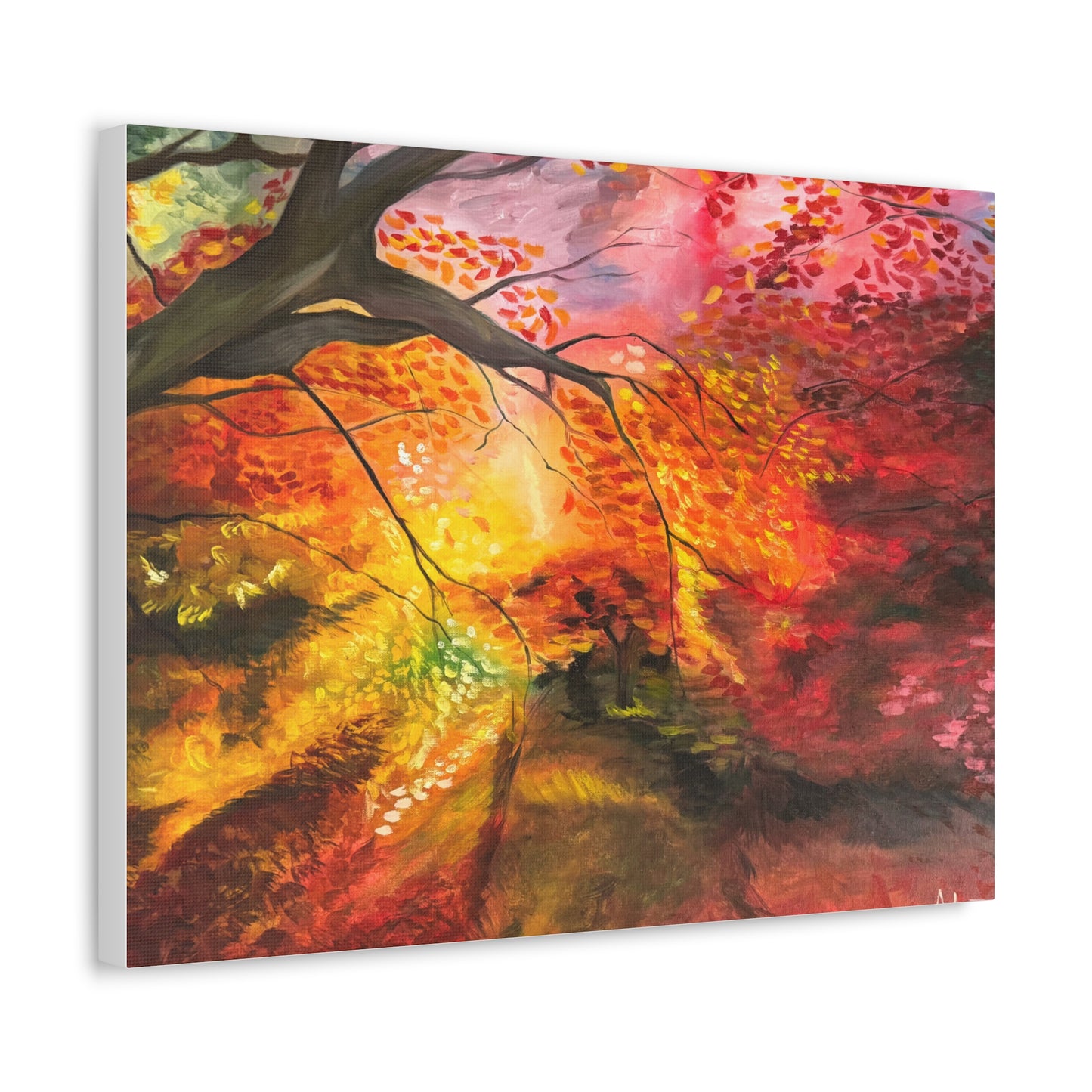 Where the Light Falls | Premium Stretched Canvas