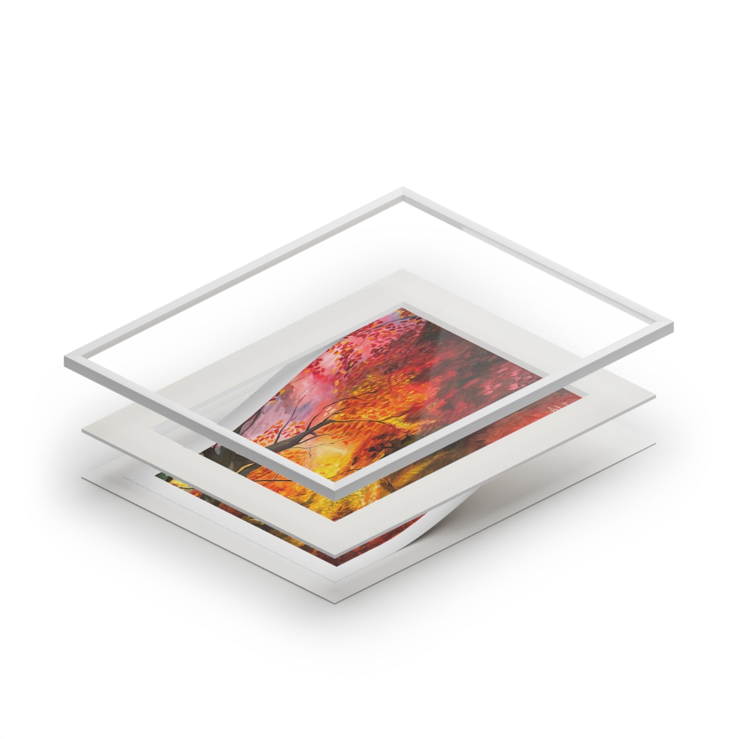 Where the Light Falls – Fine Art Giclée Print