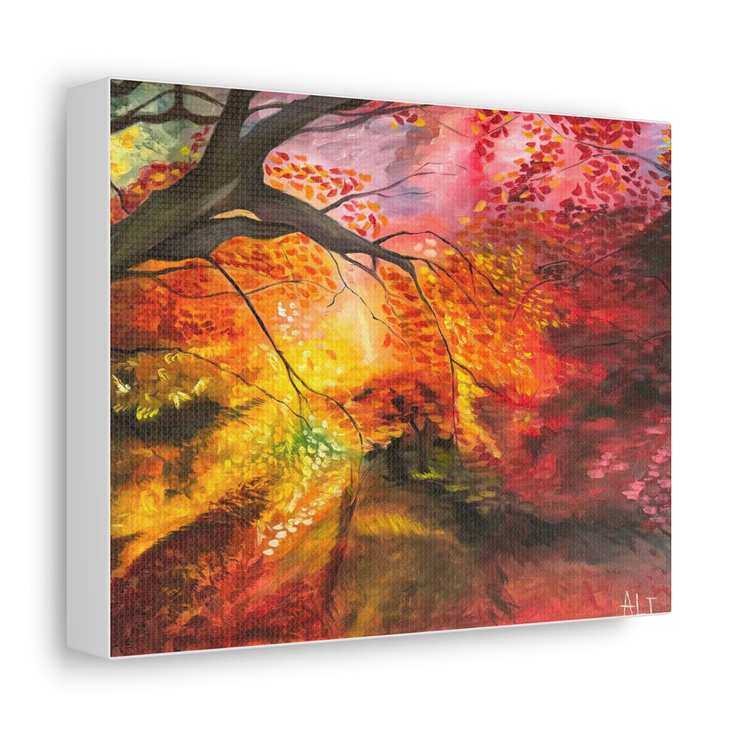 'Where the Light Falls' Stretched Canvas