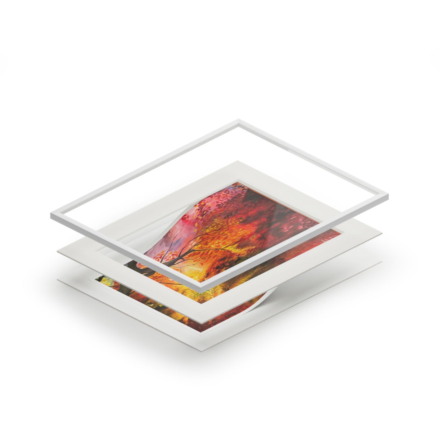 Where the Light Falls – Fine Art Giclée Print