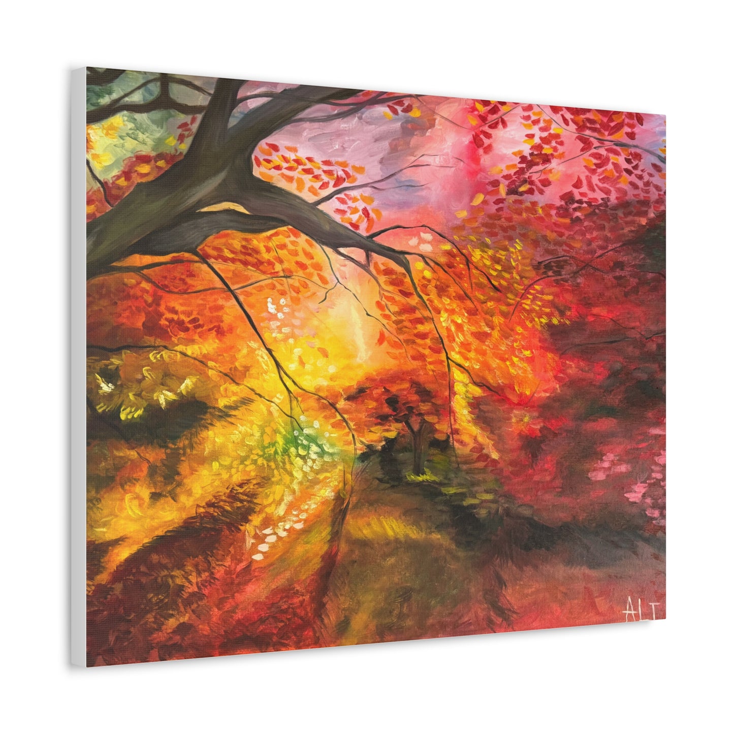 Where the Light Falls | Premium Stretched Canvas